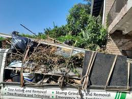 Best Recycling Services for Junk  in Shadybrook, TX