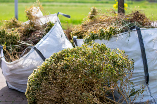 Best Residential Junk Removal  in Shadybrook, TX